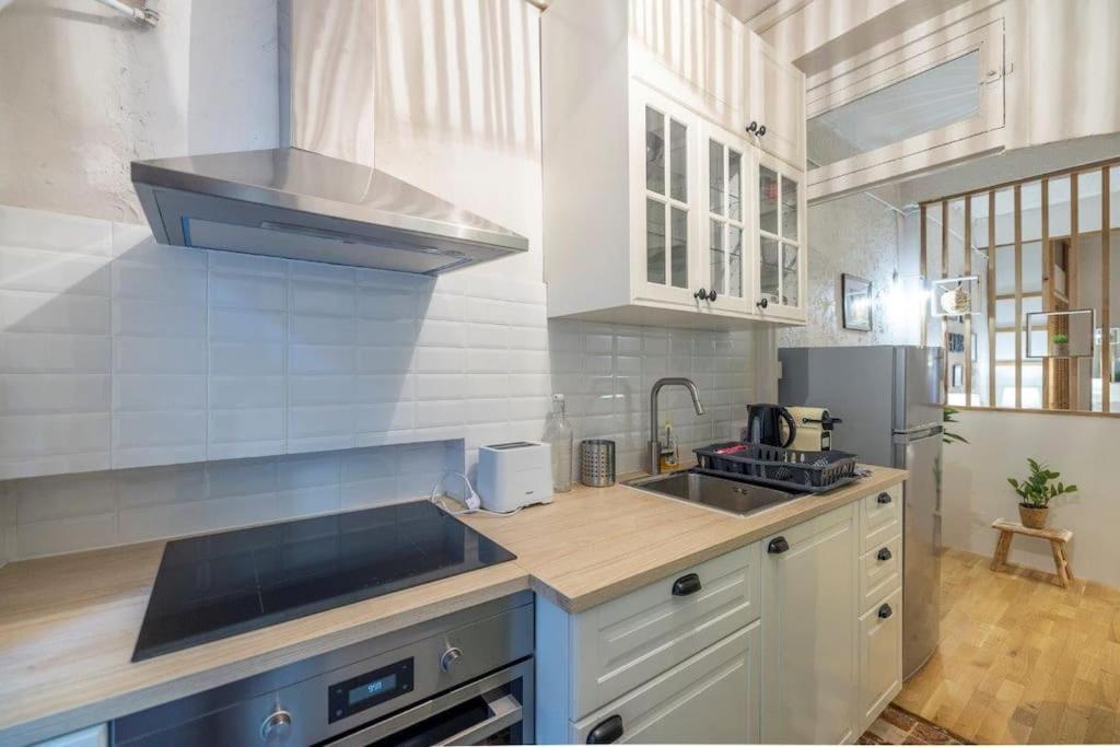 Appartement Cosy Dans Les Rues Pietonnes グルノーブル エクステリア 写真